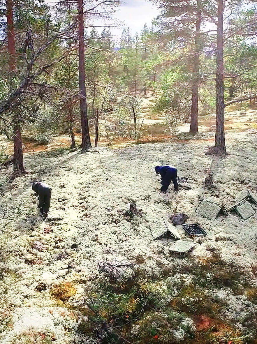 100% Natur ohne weitere Pflege