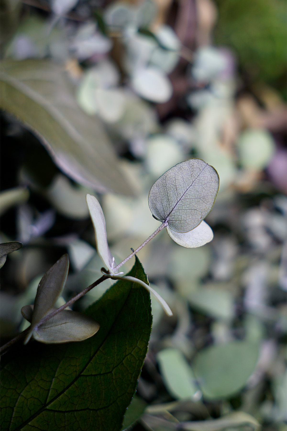 100% Natur ohne weitere Pflege