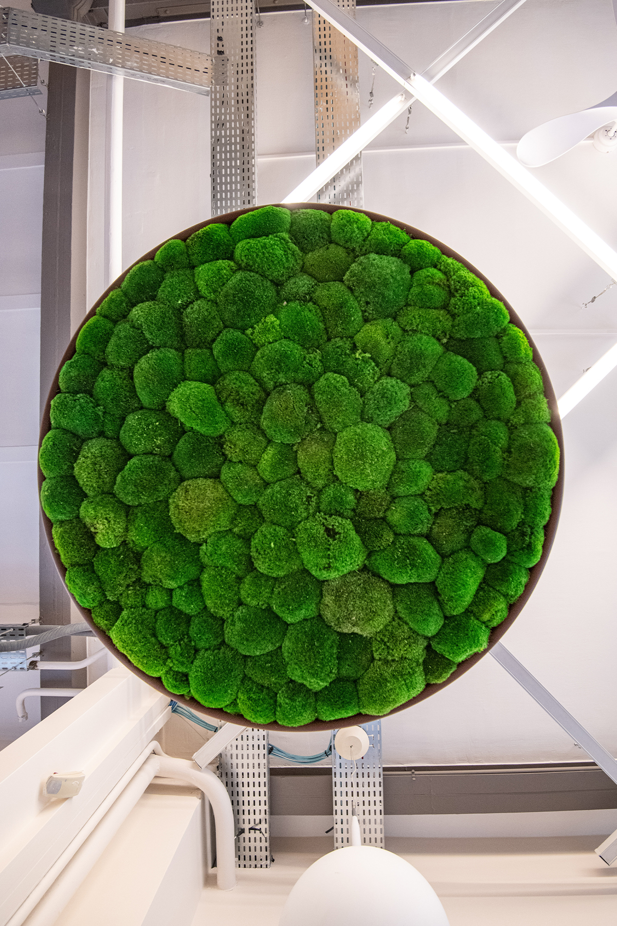 Akustik-Lösungen waren noch nie so natürlich